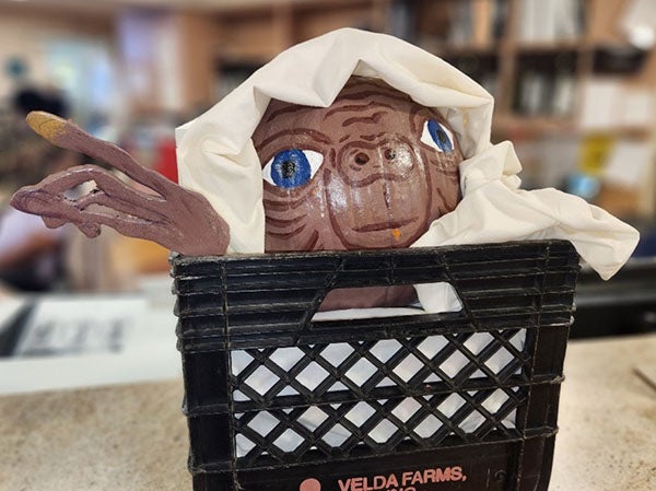 MSRH Pumpkin Contest