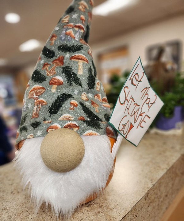 MSRH Pumpkin Contest