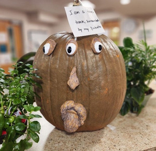 MSRH Pumpkin Contest