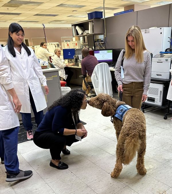 Ollie in the Lab at SMH.