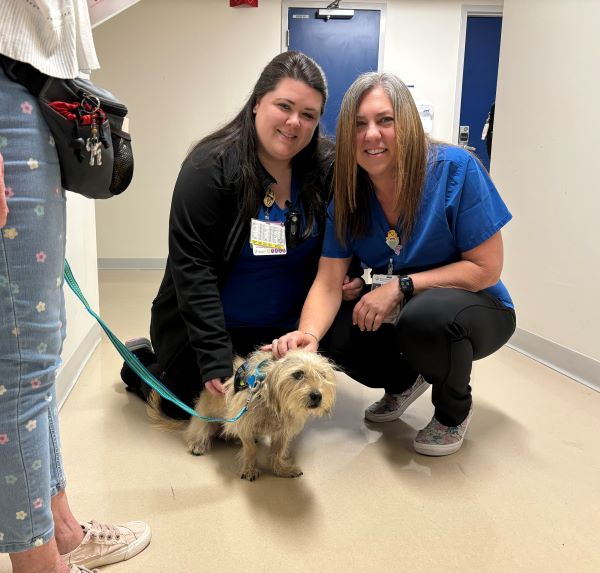 ED nurses, Molly and Erika, take a minute to meet Barry.