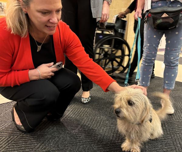 SQIP Manager, Stephanie, meets Barry upon his arrival to SMH.