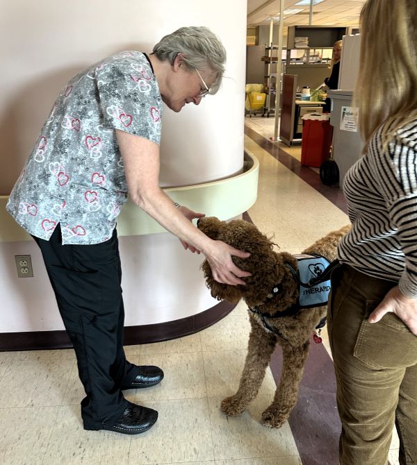 Ollie was a big hit in the Lab.