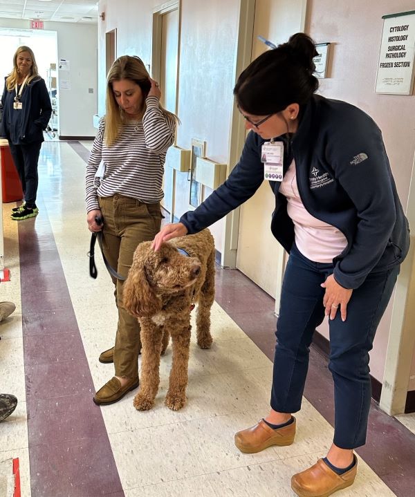 Lab Supervisor, Melissa, enjoyed the few minutes she had with Ollie.