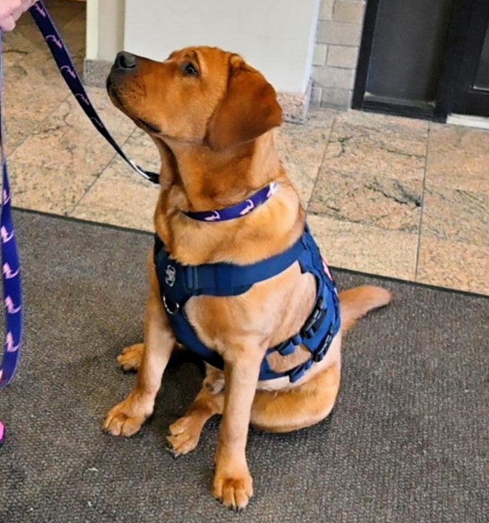 Gus