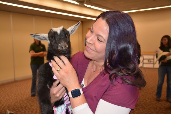 Mercy Medical Center goat therapy