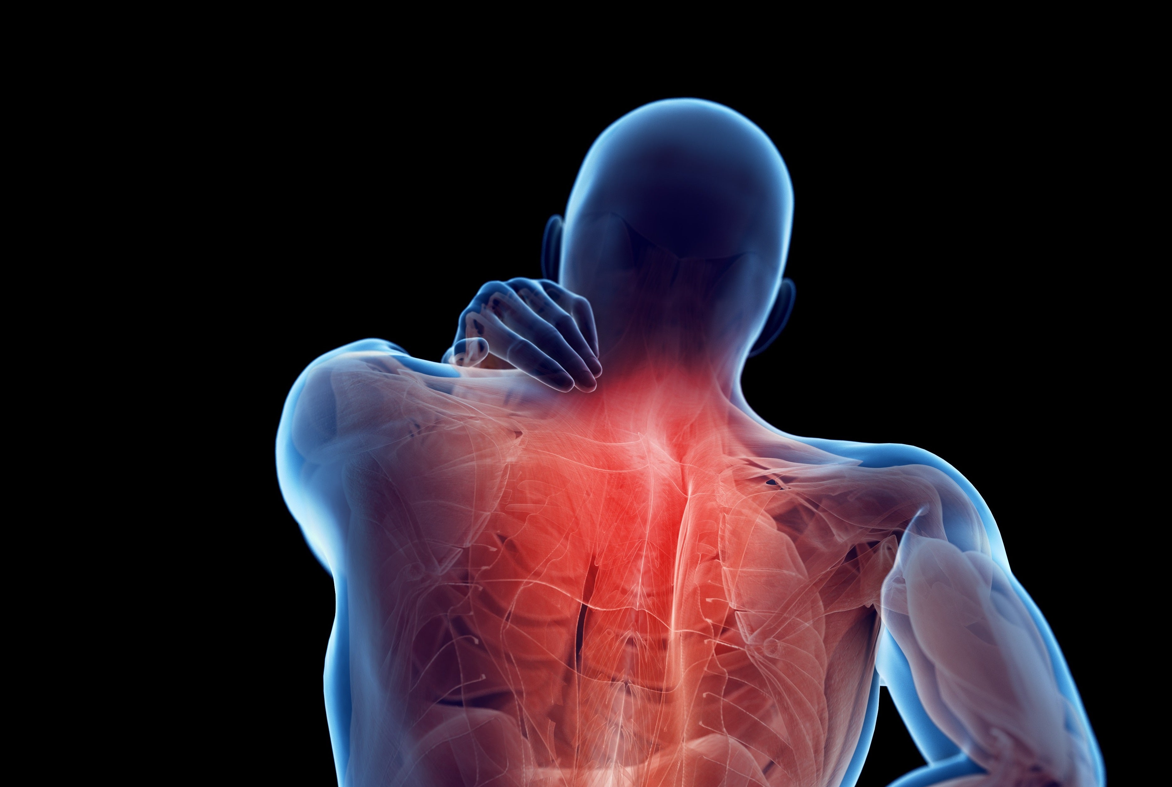 Pain Neurology Clinic
