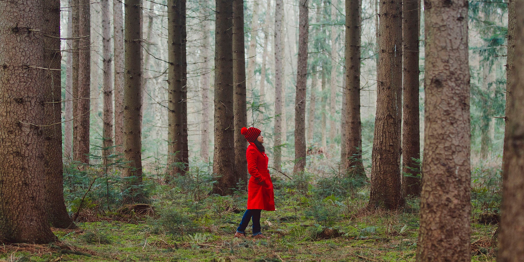 Forest Bathing for Good Health