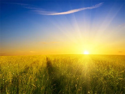 Bright Side Sunnier Areas Have Lower COVID-19 Death Rates