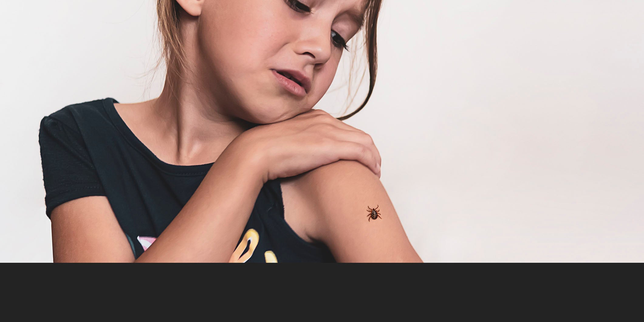 Ticks 101