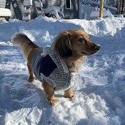 Winter Fun