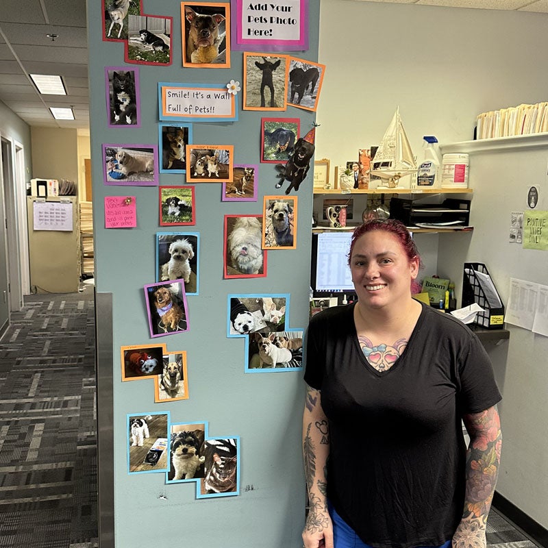 Wall of Pets